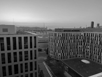 "Das Glück der Erde liegt auf dem Rücken der Pferde" - Studio/NeubauWohnung mit unverbaubarem Blick auf die Trabrennbahn Krieau