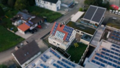 � Die Wohnung: Groß, grün, genial