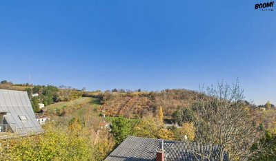 Ein Logenplatz im grünen Döbling- Zwischen Reben und Skyline