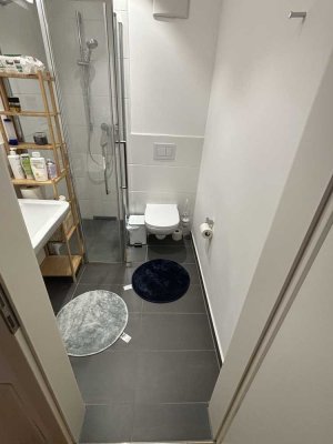 Gemütlichen 1-Zimmer-Wohnung in zentraler Lage in München