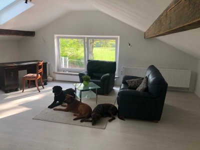 Charmante 1-Zimmer-Wohnung im Grünen – ideal für Naturliebhaber & Hundebesitzer