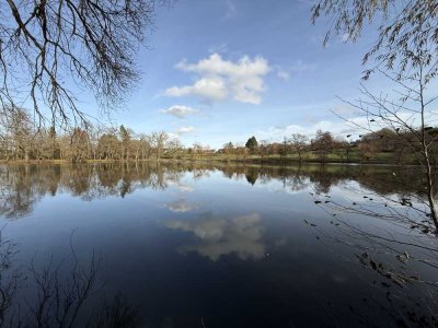 LAGE, LAGE, LAGE: Mattheiser-Weiher  / Trier-Heiligkreuz