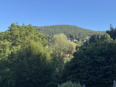 PROVISIONSFREI! Natur genießen: offenes Wohnkonzept mit Wintergarten und Blick ins Grüne