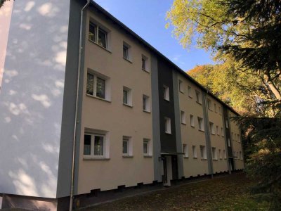 Preisgünstige und interessante 3-Zimmer-Wohnung