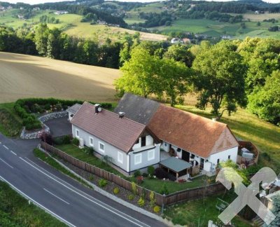Das Besondere finden - Top renoviertes Bauernhaus mit 3,9 ha Grund bei Bad Gleichenberg
