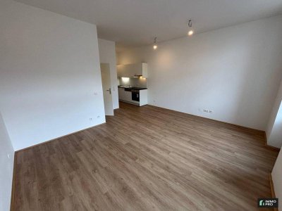 Generalsanierte 1-Zimmer Wohnung mit neuer Einbauküche in Donawitz zu vermieten