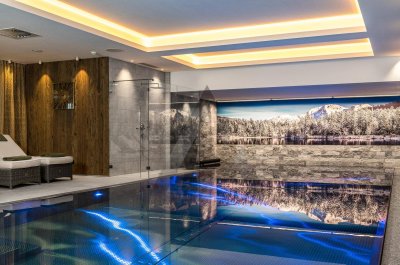 1-Zimmer-Apartment / Kitzbüheler Alpen / Tirol / Serviced Apartment