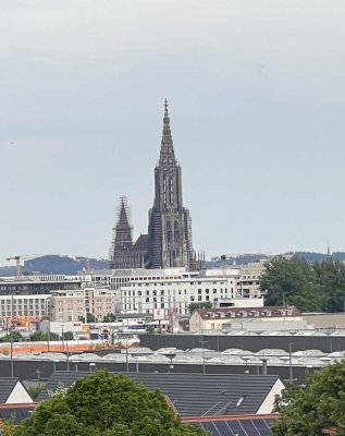 Herrliche 2-Zi-Wohnung Ulm- Eselsberg mit großer Dachterrasse