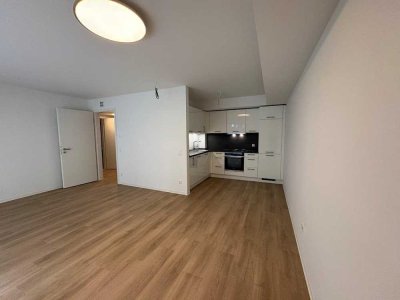 2 Raum Erdgeschoss mit kleiner Terrasse im Neubau
