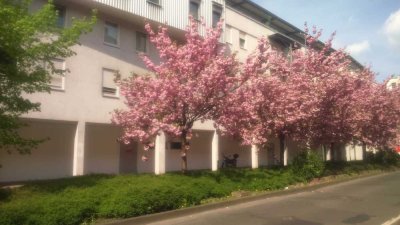 Singlewohnung, neuw. 1 -Zi. mit Lift + TG-Stellplatz !