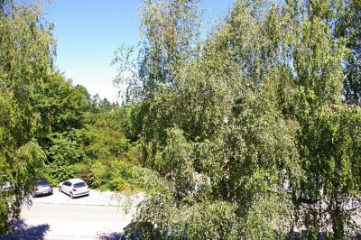 GARCONNIERE - TOPZUSTAND!