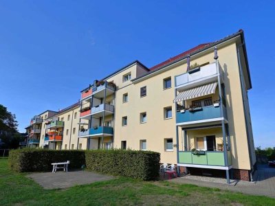 Wohnung in Dresden - Cotta in ruhiger Lage - Zentrumsnah