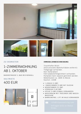 Wohnung mit traumhaften Bergblick zu vermieten AB 1. September