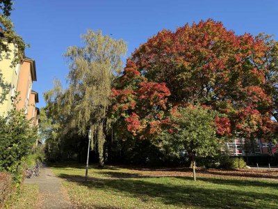 Gut geschnittene, ruhige, helle Wohnung nahe dem Stadtpark