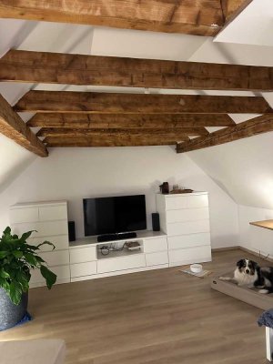 Moderne Einzimmerwohnung im Dachgeschoss eines 3-Familienhauses in N.-Pingsheim