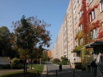 Helle und  geräumige 2- Zimmerwohnung mit einer Loggia in zentraler Lage