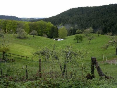 VIEL GRUNDSTÜCK FÜR WENIG GELD MIT SCHÖNEM AUSBLICK FÜR IHR NEUES HAUS! TEL. 01714863595