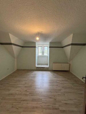 Neu renovierte schöne und große 4-Zimmer Wohnung zu vermieten