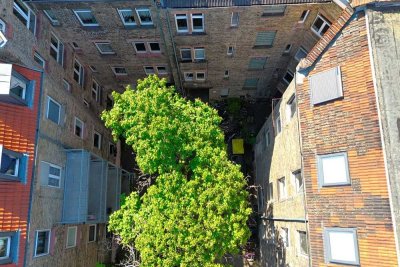 Hier fühlen sich Ihre Mieter wohl - gut vermietete Kapitalanlage im historischen Denkmal