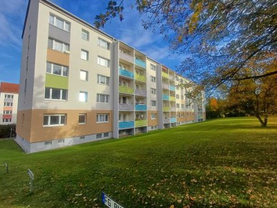 +++ günstig und neu renoviert +++ 3 Zimmer Erdgeschosswohnung +++