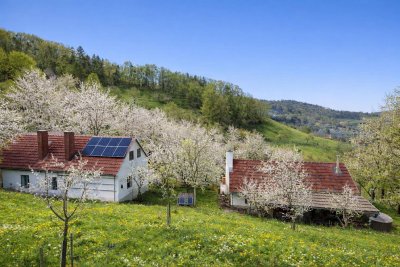 Landwirtschaft mit Eigenwald, Quellfassung und 38.000 m² Grund. Nur wenige Minuten nach Graz