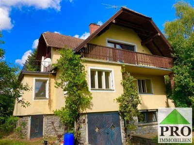 Einfamilienhaus mit großem Garten
