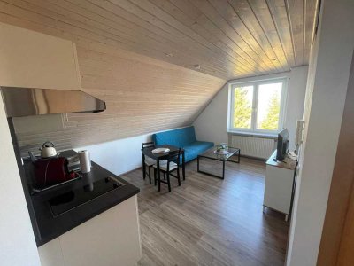 Exklusive, sanierte 2-Zimmer-Wohnung in 88499 Altheim
