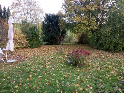 Geschmackvolle 3-Zimmer EG Wohung mit eigenem Garten und Garage