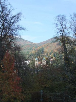 Schöne  Wohnung  in guter Lage       PROVISIONSFREI