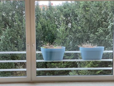 Wohnung mit drei Zimmern sowie 2 Balkone und Einbauküche in Bremen