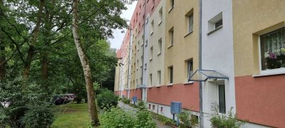 Zum Kahleberg, helle Wohnung in Waldnähe