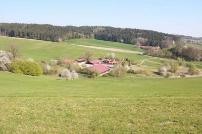 DIPL.-Immowirt MAIER !! SELTENES REFUGIUM - HOF mit Reithalle samt 42 ha Grund arrondiert-300 kWh PV