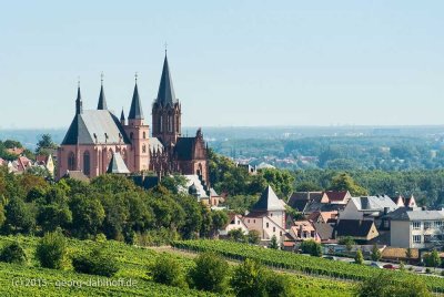 Vermietete 3 Zimmer Eigentumswohnung mit Balkon für Selbstnutzer oder Kapitalanleger in Oppenheim