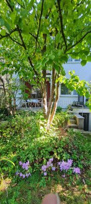 Charmantes Reihenmittelhaus mit Garten -ruhig wohnen am Waldrand-Potenzial für die ganze Familie
