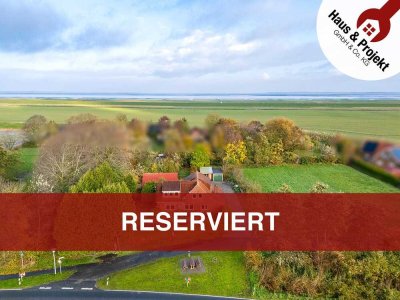 Deichnahes Wohnhaus mit großem Grundstück und Weideteilfläche