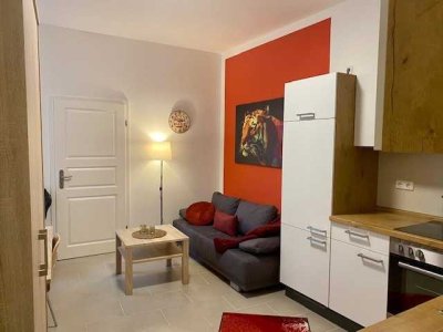 Vermietete Altbauwohnung in begehrter Parklage – 2 Zimmer in Potsdam-Babelsberg