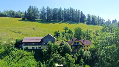 Sonne, Ruhe und Weitblick - IHR TRAUMPLATZ AM HAMBERG