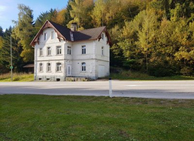Projekt Lebens(t)raum – Sanierungsabenteuer mit Potenzial in Waldrandlage nahe Skigebiet