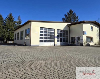 2 Wohneinheiten mit Werkhalle in Peißenberg (Wörth)