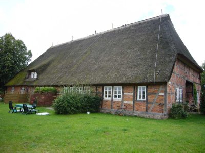 Ansprechende 2-Zimmer-Wohnung in Thandorf