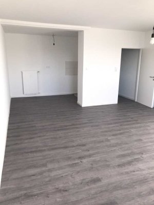 Sanierte geräumige 1-Zimmer-Wohnung mit gehobener Innenausstattung zur Miete in Gießen