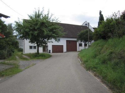 Bauernhof mit Wagnerei (Werkstatt), Platz für Handwerker