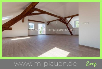 offene Wohnküche - Holzbalken - Top sanierte 3 Zimmerwohnung im direkten Stadtzentrum von Plauen