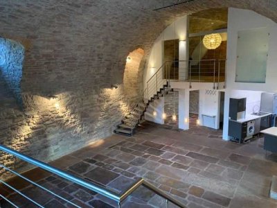 Exklusive-Loft-Wohnung mit EBK in Karlsruhe-Durlach