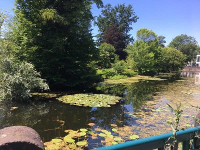 Möbliert ! Südstadt / Toplage, schönes 2 Zimmerappartement im Stilaltbau - ideal für Pendler