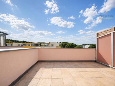 Traumhafte Dachterrassenwohnung in Feschnig #LKH-Nähe