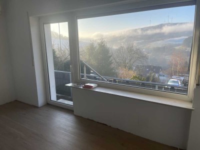 Provisionsfrei! Frisch renovierte 2ZKB Wald-Michelbach, fantastische Aussicht. Heizung Wärmepumpe