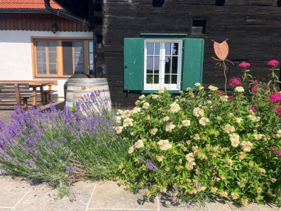 Residieren im Kirschendorf der Steiermark – Ihr neues Zuhause mit Weinkeller, Swim-Spa und einem sensationellen Rund-um-Blick!