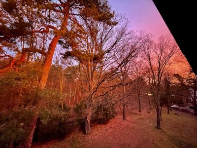 Exklusive 4-Zimmer-Wohnung mit Blick auf den Grunewald