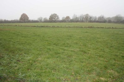 Resthof in Alleinlage mit zwei Wohnungen auf ca. 4,3 ha Grundstück.